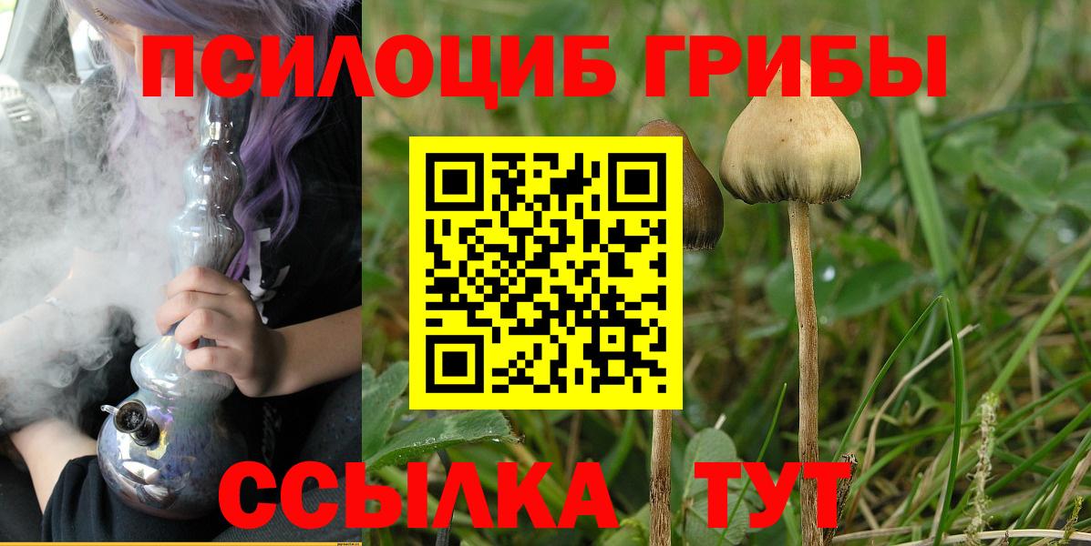 Галлюциногенные грибы Psilocybe Хабаровск